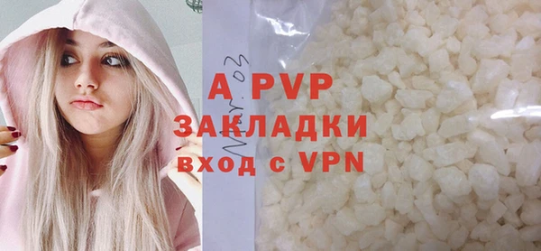 гашик Дмитров