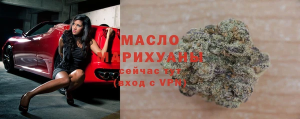 гашик Дмитров