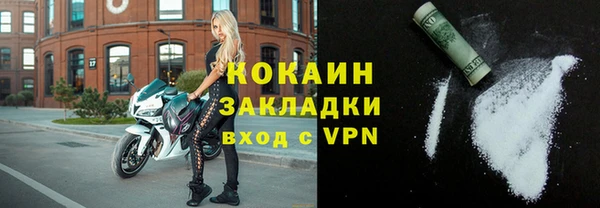 гашик Дмитров