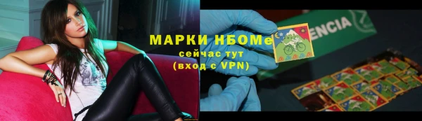 гашик Дмитров