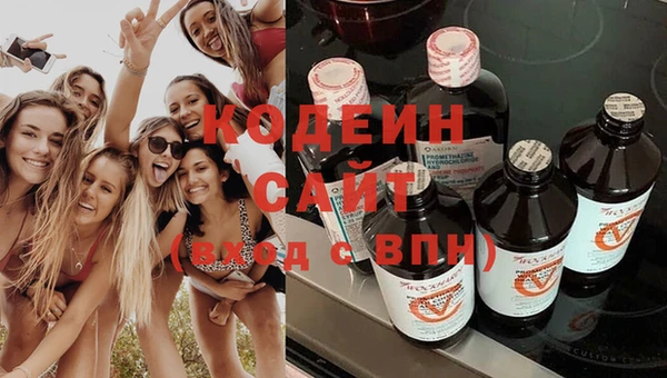 гашик Дмитров