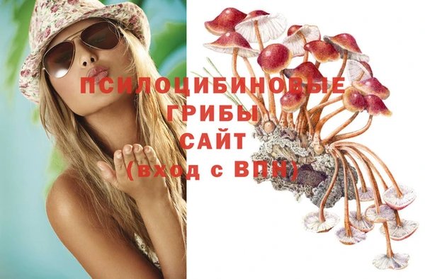 MDMA Premium VHQ Дмитровск