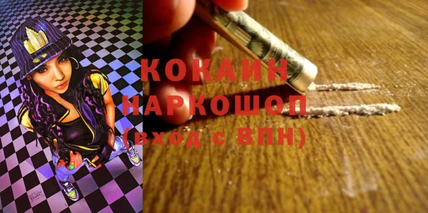 гашик Дмитриев