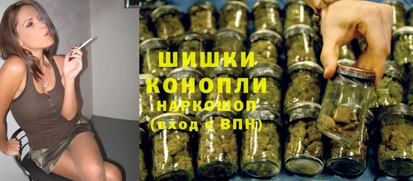 гашик Дмитров