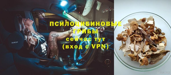 гашик Дмитриев