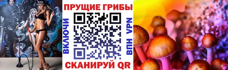 hydra   что такое наркотик  Бородино  Псилоцибиновые грибы прущие грибы 