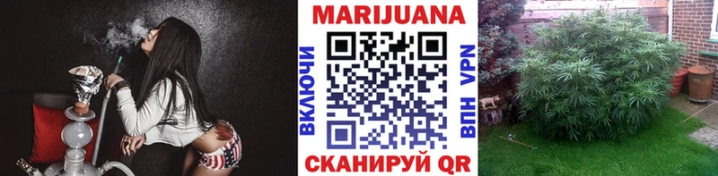 Конопля конопля  наркотики  Бородино 